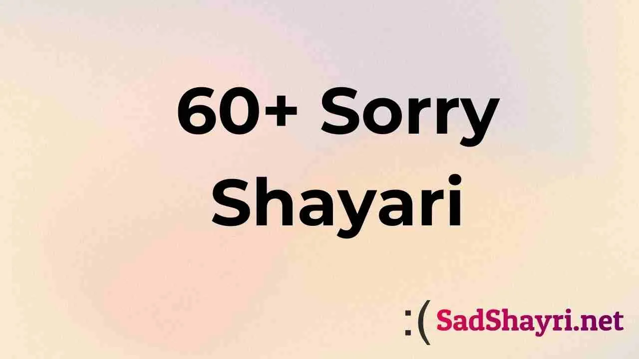 Sorry Shayari