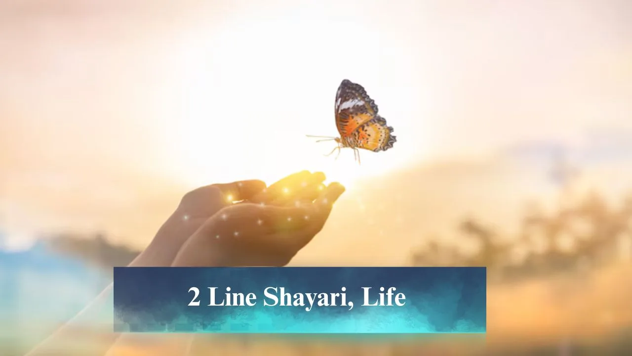 2 Line Shayari, Life