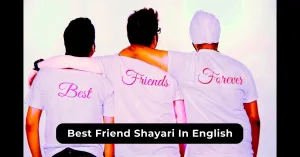 Best Friend Shayari In English