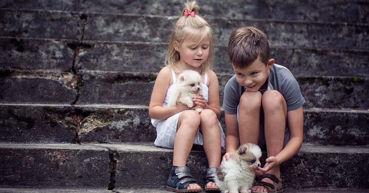 Best Friend Shayari In English 2 Line Dosti Shayari 2 Trust friendship shayari in English