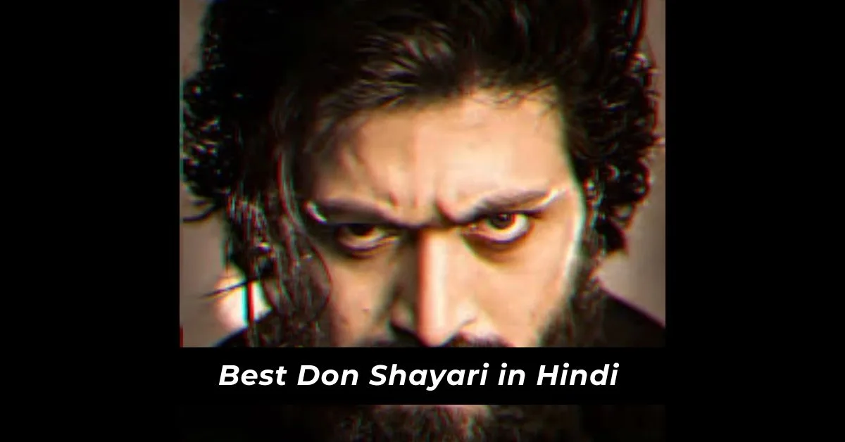 Best Don Shayari in hindi_