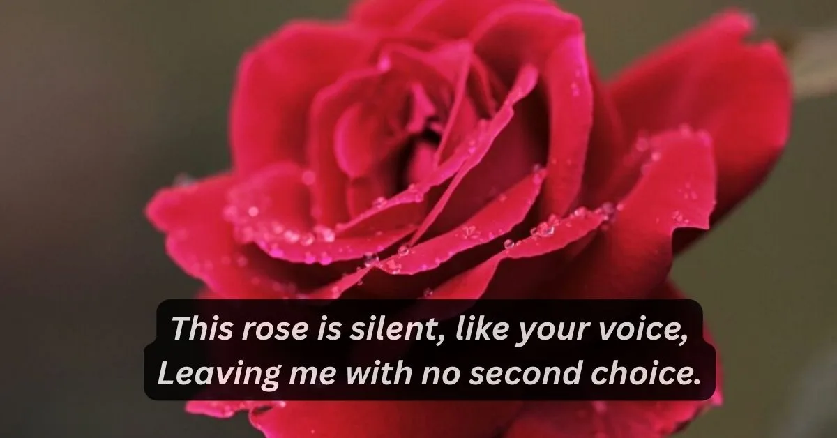 two line shayari on rose in english