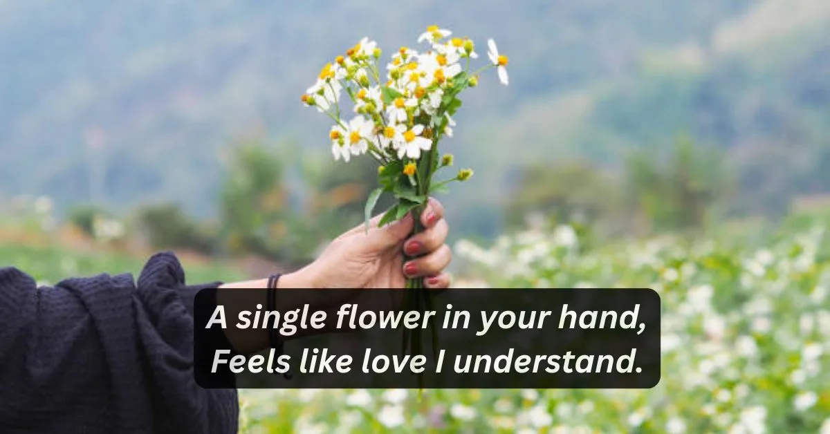Flowers shayari in english