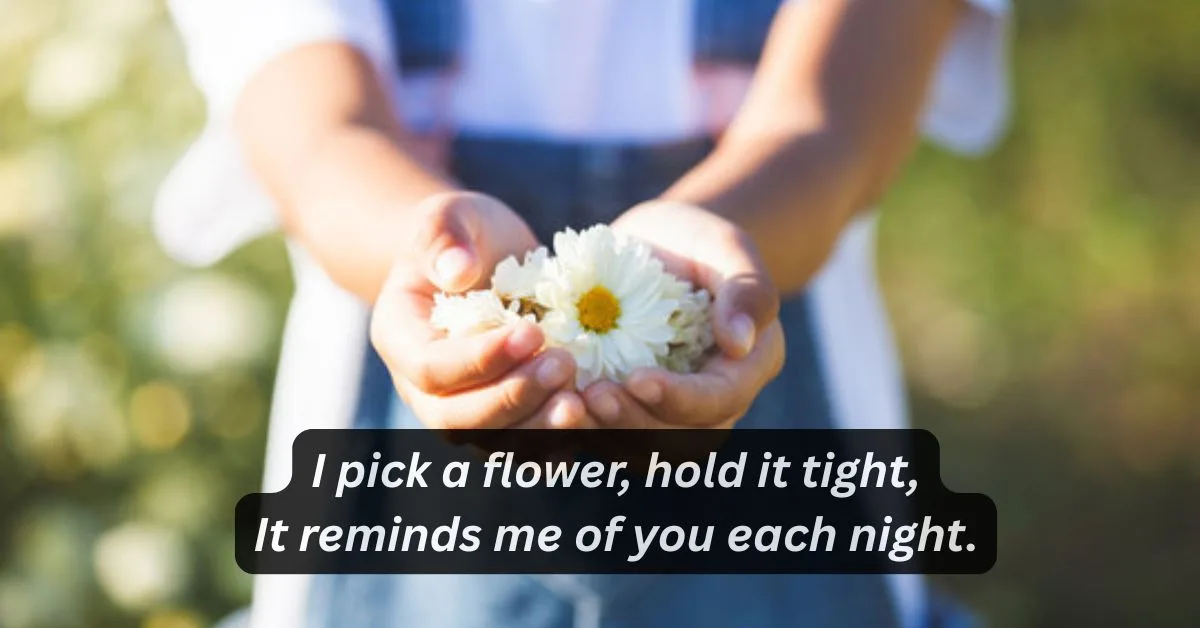 Phool shayari in english