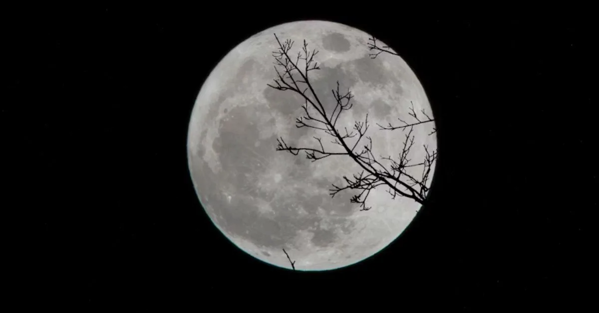 180+ Romantic Good Night Shayari in English 2025 3 2 Lines Good Night Shayari