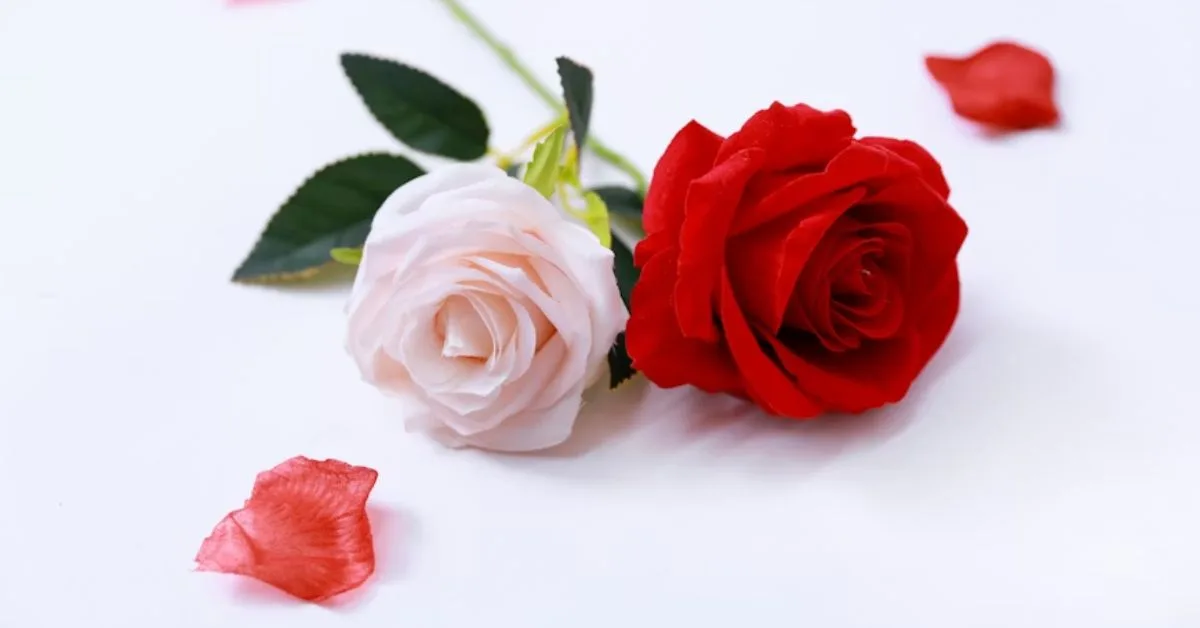 Gulab Shayari 2 Lines Hindi