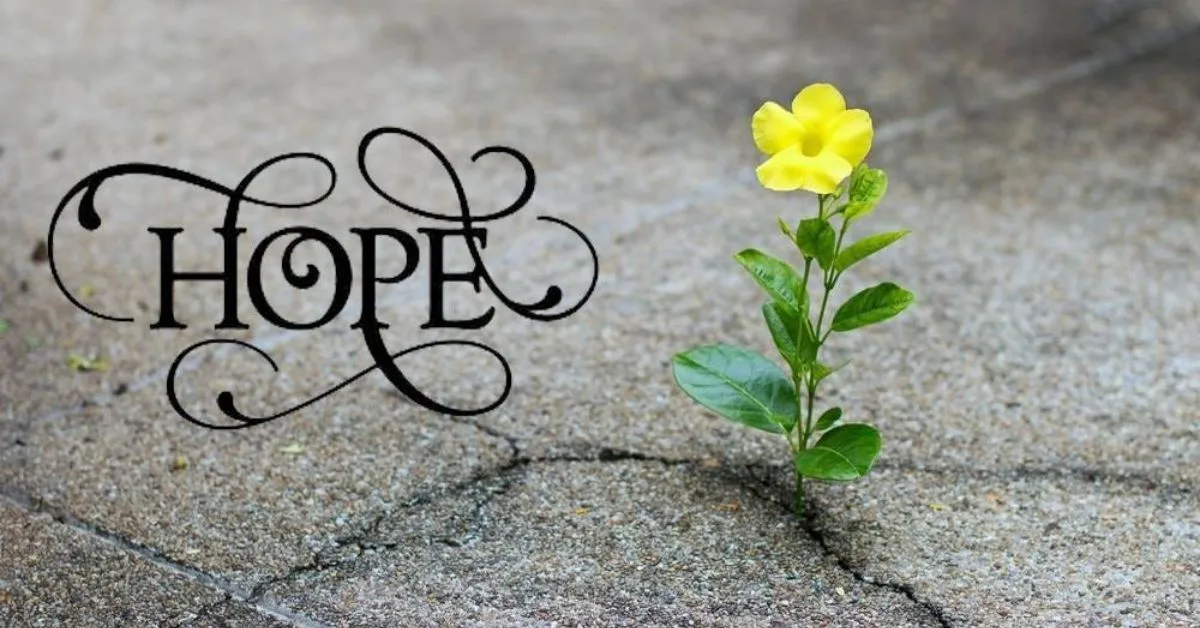 Rishte Umeed Shayari